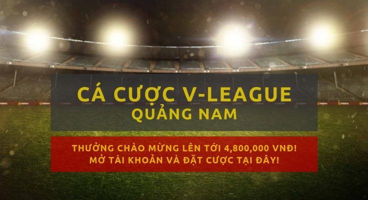 v-league-clb-quang-nam-mua-giai-2019-lich-thi-dau-ket-qua
