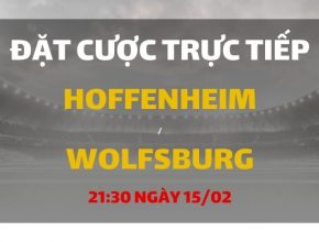 TSG Hoffenheim - VfL Wolfsburg (21h30 ngày 15/02)